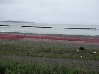 厚岸海岸